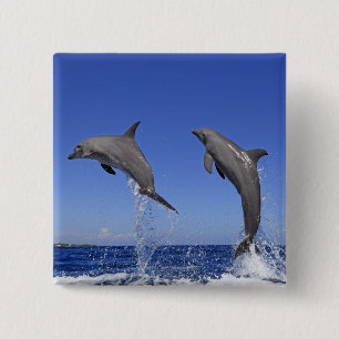 Delfin 2 15 cm square badge
