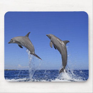Delfin 2 mouse mat