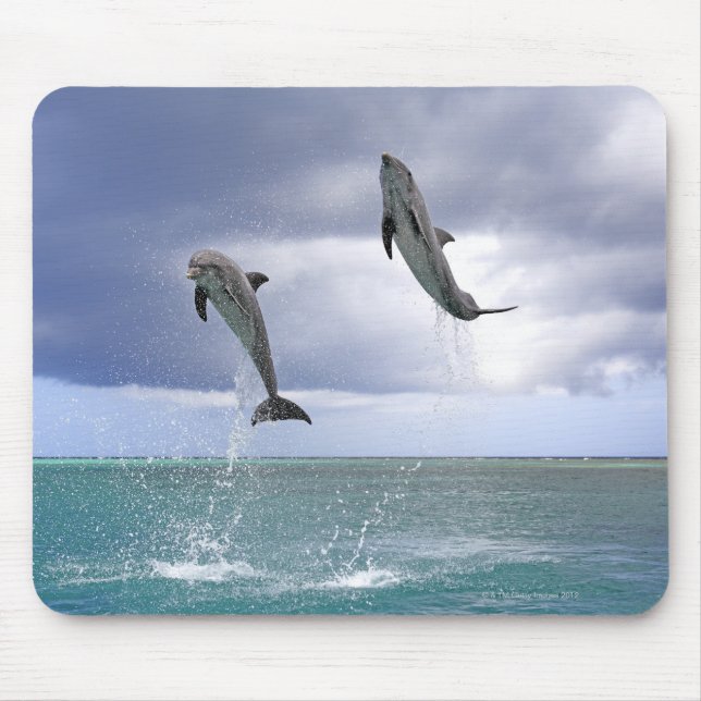 Delfin,Delphin,Grosser Tuemmler,Tursiops 2 Mouse Mat (Front)