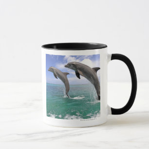 Delfin,Delphin,Grosser Tuemmler,Tursiops 4 Mug