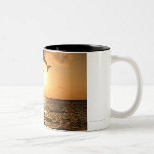 Delfin,Delphin,Grosser Tuemmler,Tursiops Two-Tone Coffee Mug
