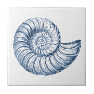 Delft Blue Nautilus Shell Nautical Beach House Tile