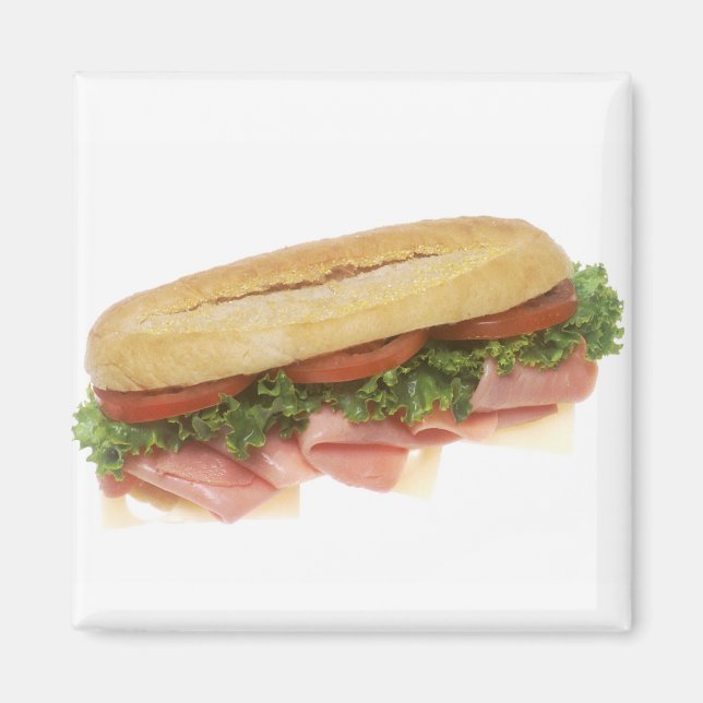 Deli Sandwich Magnet (Front)