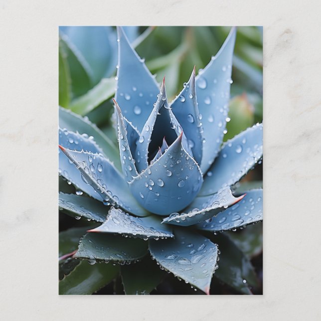 Delicate Agave Botanical Photorealistic Digital Postcard (Front)