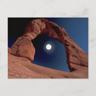 Delicate Arch   Arches National Park Utah Postcard