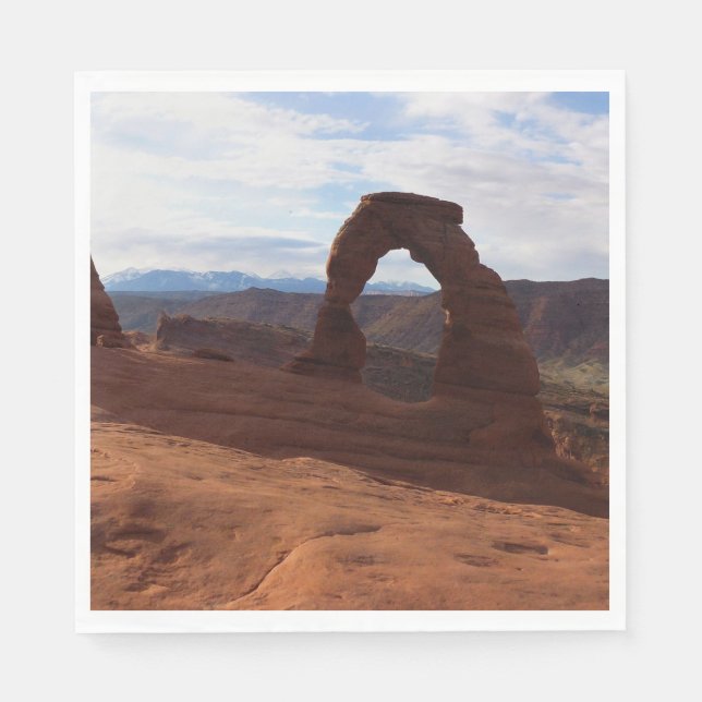 Delicate Arch I at Arches National Park Napkin (Front)