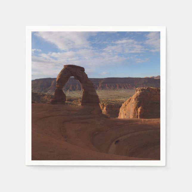 Delicate Arch II at Arches National Park Napkin (Front)