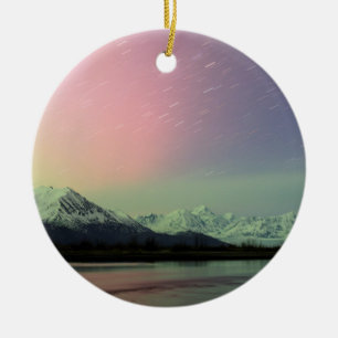 Delicate Aurora Ceramic Tree Decoration