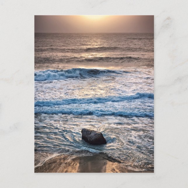 Delicate Beach Sunset Postcard (Front)