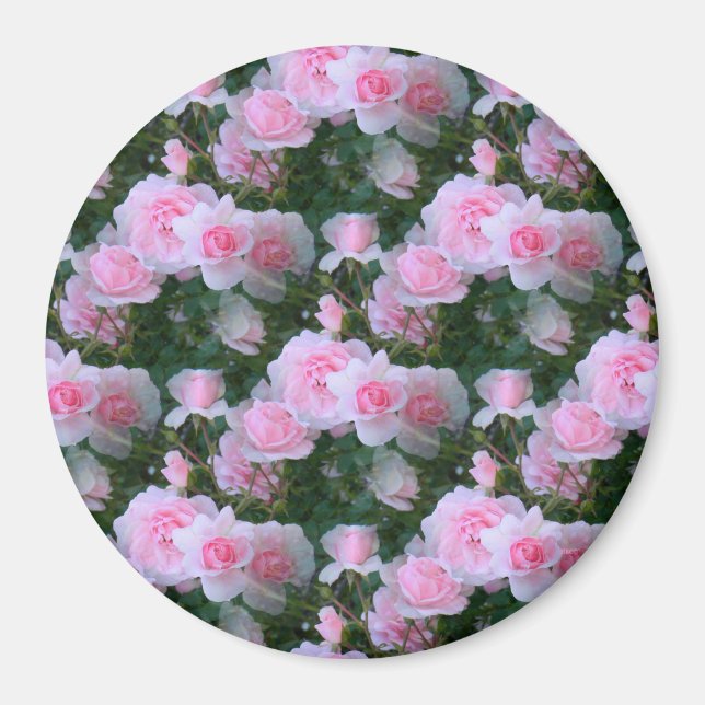 Delicate Beauty... Magnet (Front)