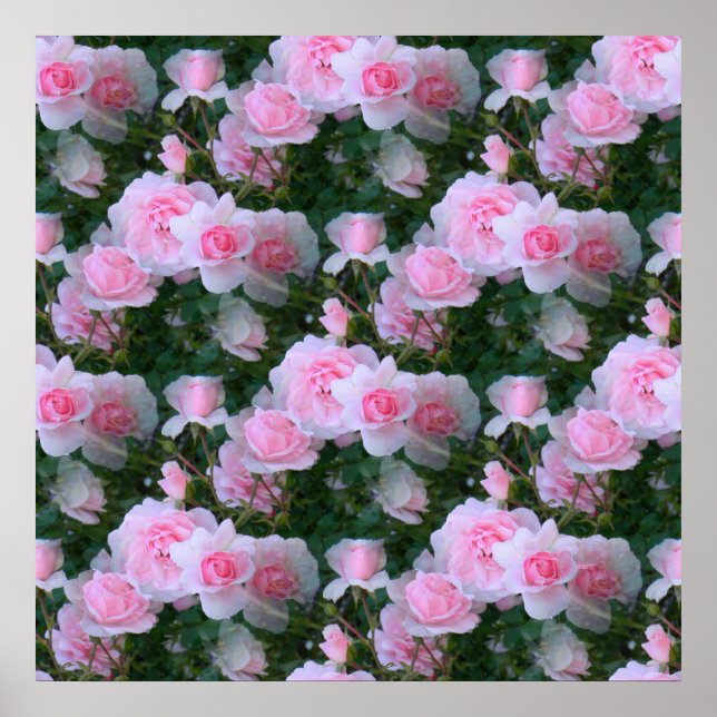 Delicate Beauty... Poster (Front)