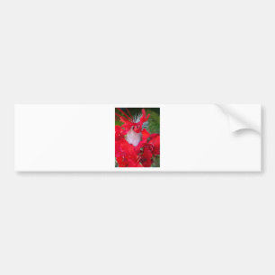 Delicate Beauty: Red Flower with White Feather Bumper Sticker