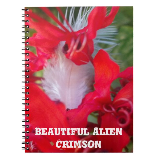 Delicate Beauty: Red Flower with White Feather Notebook (Front)