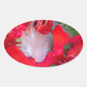 Delicate Beauty: Red Flower with White Feather Oval Sticker