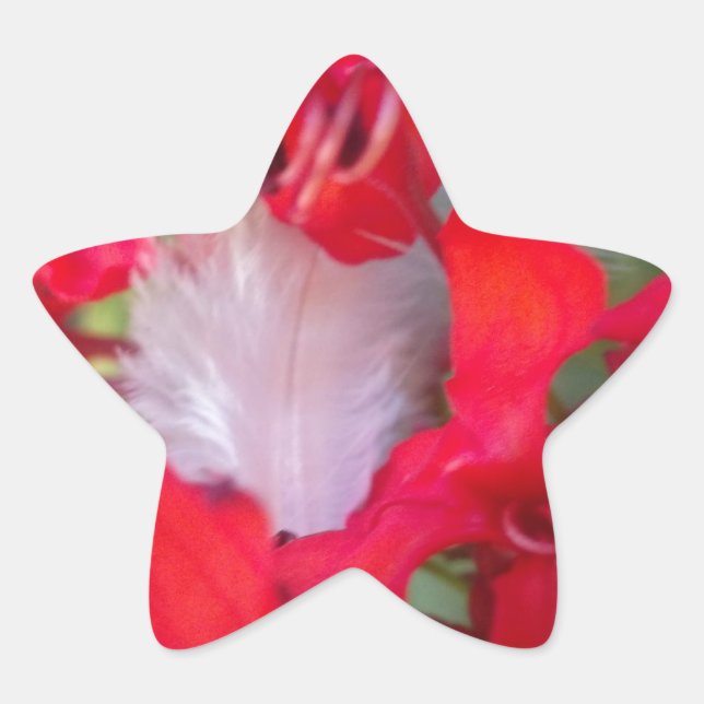 Delicate Beauty: Red Flower with White Feather Star Sticker (Front)