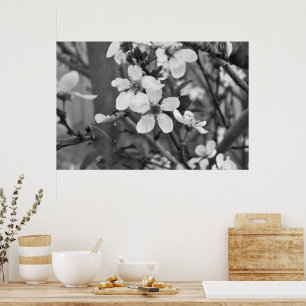 Delicate Blossoms 3623 Poster
