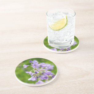 Delicate blue flowers on a green field in a spring coaster