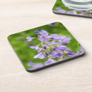 Delicate blue flowers on a green field in a spring coaster