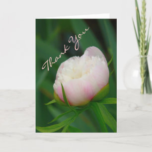"DELICATE BLUSHING PEONY/ THANK-YOU "NOTECARD THANK YOU CARD