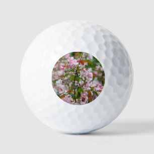 Delicate branch with flowers apple tree golf balls
