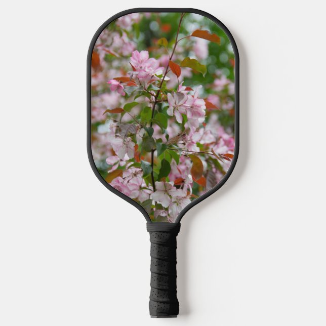 Delicate branch with flowers apple tree pickleball paddle (Front)