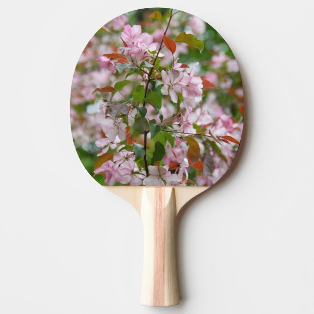Delicate branch with flowers apple tree ping pong paddle (Front)