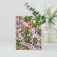 Delicate branch with flowers apple tree