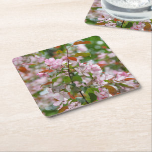 Delicate branch with flowers apple tree square paper coaster
