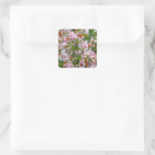 Delicate branch with flowers apple tree square sticker