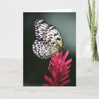 Delicate Card