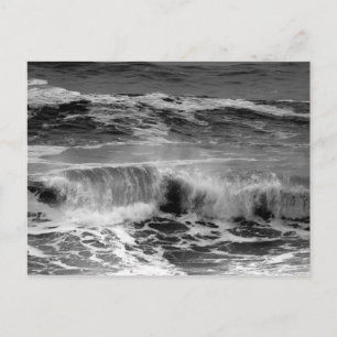 Delicate Curling Waves in Monochrome Postcard