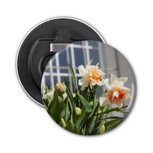 Delicate cute daffodils spring   bottle opener
