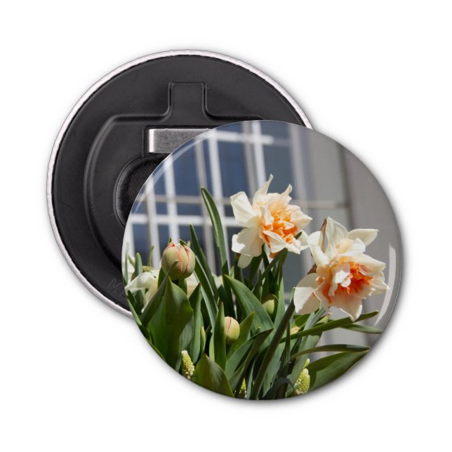 Delicate cute daffodils spring   bottle opener (Front)