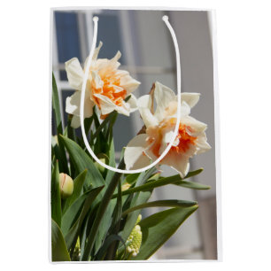 Delicate cute daffodils spring    medium gift bag