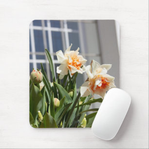 Delicate cute daffodils spring mouse mat