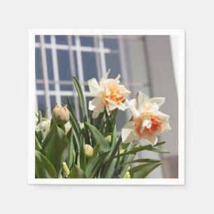 Delicate cute daffodils spring napkin