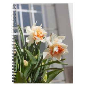 Delicate cute daffodils spring notebook