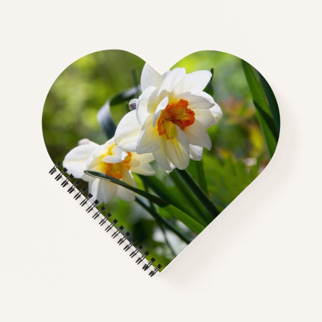 Delicate cute daffodils spring    notebook (Front)