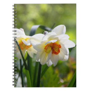 Delicate cute daffodils spring notebook