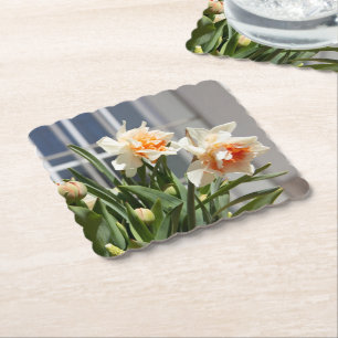 Delicate cute daffodils spring paper coaster