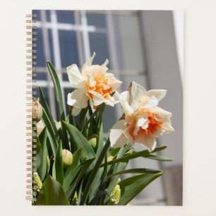 Delicate cute daffodils spring   planner