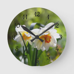 Delicate cute daffodils spring round clock