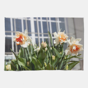 Delicate cute daffodils spring tea towel