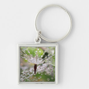 Delicate Dandelion Abstract Key Ring