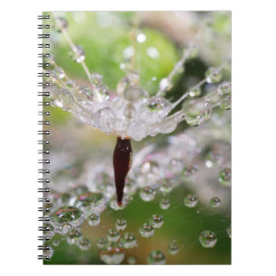 Delicate Dandelion Abstract Notebook