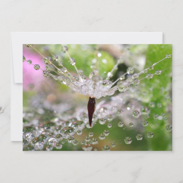 Delicate Dandelion Abstract Thank You Card (Front)