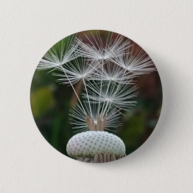 Delicate Dandelion Seeds  6 Cm Round Badge (Front)