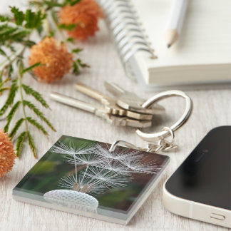 Delicate Dandelion Seeds  Key Ring