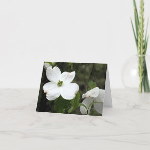 Delicate Dogwood Notecard