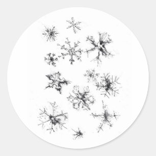 Delicate Falling Snowflakes Classic Round Sticker
